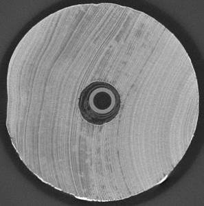 Coupe transversale de la fusaiole réalisée par microtomographie X