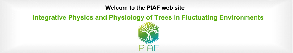 Welcom to the Piaf web site 